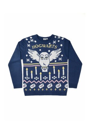 HARRY POTTER HEDWIG EULE WEIHNACHTS WINTER UGLY CHRISTMAS - Jumper - blau