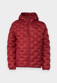 Hollister Co. GORP  - Light jacket - merlot