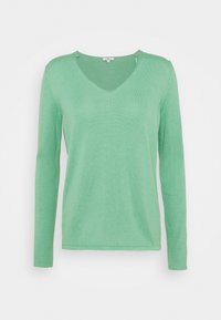 Lichtgroene longsleeve V-hals trui met een slim fit en fijne brei textuur, weergegeven tegen een witte achtergrond.