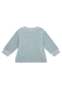 Lichtblauw, langarm shirt van zacht fluweel. Het heeft een ronde hals en contrasterende lichte boorden. Etiket aan de zijkant voor branding.