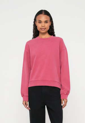 SAVAN - Sudadera - earth red