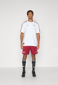 adidas Originals ARSENAL FC ICON TEE - Article de supporter d'équipe de club - white