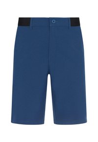 Zili šorti no gludas auduma, ar melnu jostu, pogu aizdari un taisnu kāju griezumu. Bez rakstiem.