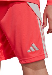 Rote Sportshorts aus glattem Stoff, mit grauen Seitestreifen und einem gestickten Logo in der unteren linken Ecke.
