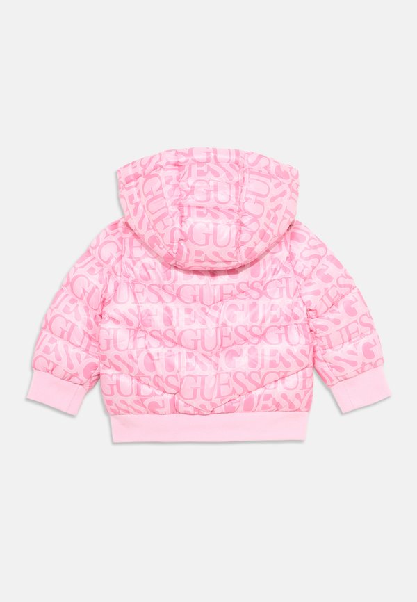 PADDED HOODED JACKET - Winter jacket - logo fuchsia3