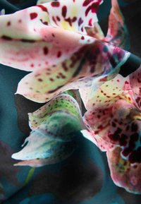 Blumenstoff mit großen rosa und grünen Orchideenmotiven auf dunklem Hintergrund, mit einer weichen, glatten Textur und subtiler Schattierung.