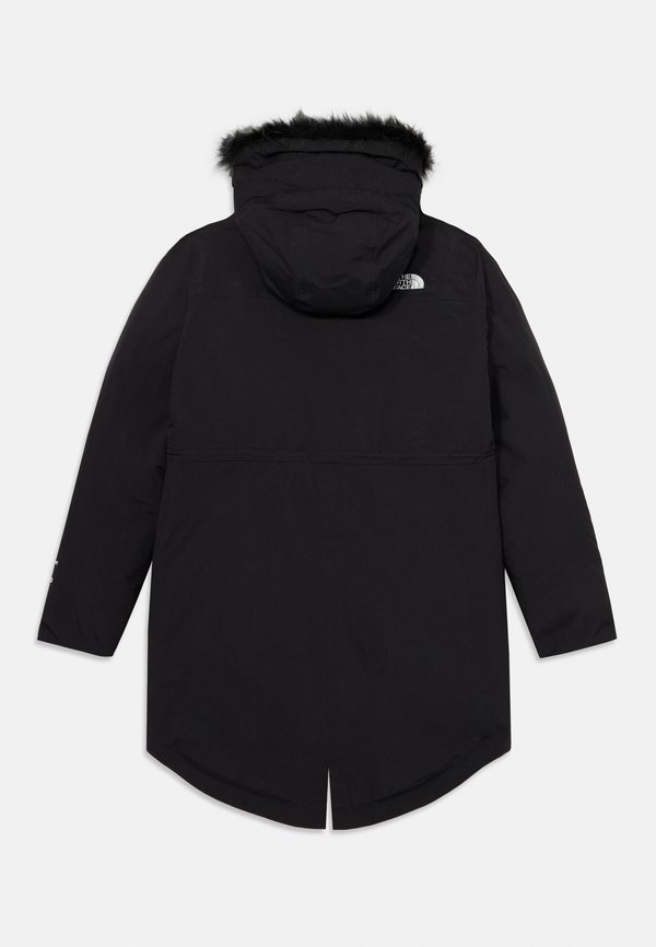 ARCTIC UNISEX - Down jacket3