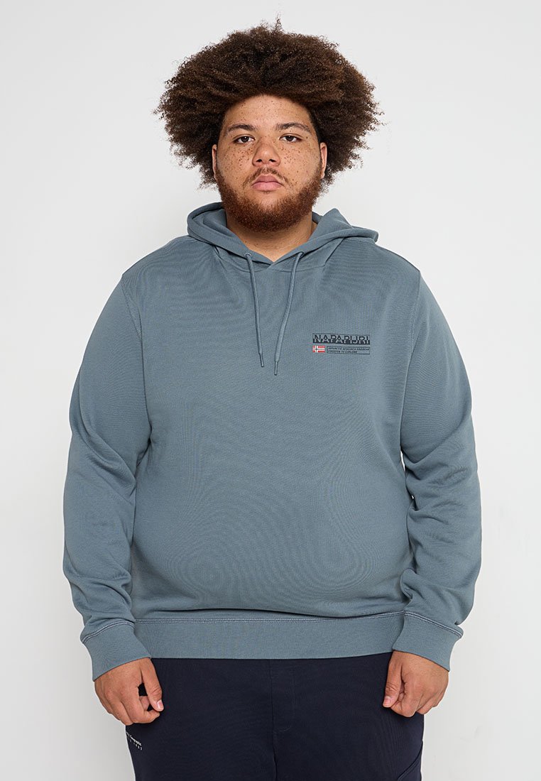 Napapijri Hoodie grijs