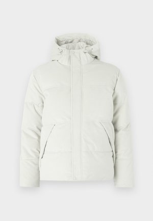 Giacca imbottita grigia chiaro, con collo alto, cappuccio regolabile, due tasche anteriori e un tessuto liscio e strutturato.