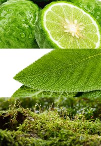 DAVIDOFF Fragrances CHAMPION EAU DE TOILETTE nieokreślony