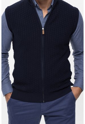 Gilet in maglia blu navy con motivo testurizzato, orlo a costine e zip. Indossato sopra una camicia blu con colletto. Design leggero e casual.