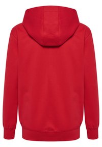 Roter Kapuzenpullover mit glatter Textur, gerippten Bündchen und Saum sowie einer einzigen Naht auf der Rückseite. Keine sichtbaren Logos oder Muster.