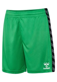 Grønne atletikshorts lavet af glat stof med en sort mønstret sideliste; har en snøre i taljen og et logo på benet.