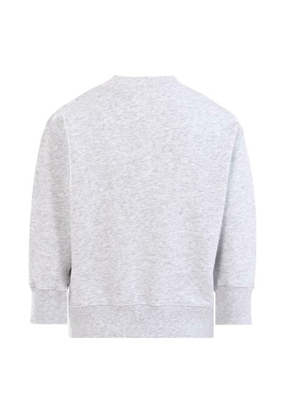 Felpa grigia con maniche lunghe e ampie, scollo rotondo e polsini e orlo ribattuti. La trama del tessuto sembra morbida e informale.