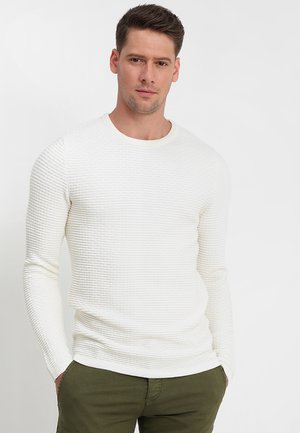SHHNEWDEAN CREW NECK - Stickad tröja - egret