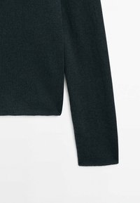 Manche en tissu tricoté vert foncé et ourlet inférieur d'un vêtement à manches longues sur un fond blanc.