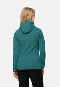 Jack Wolfskin BAISELBERG - Outdoorjas - petrol