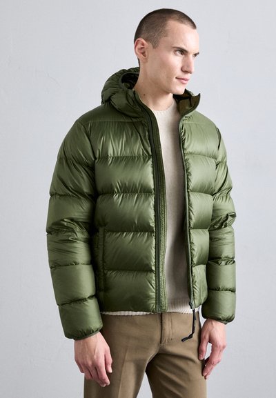 ASPESI BUDD - Puhovka - verdone/dark green