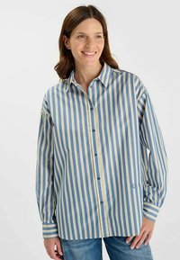 Overhemd met blauwe en beige verticale strepen, voorzien van een kraag, lange mouwen en blauwe knopen. Katoenachtige stof, losse pasvorm.