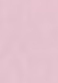 Gerry Weber ARM MIT AUSSCHNITTBLENDE - Langarmshirt - dusty rose