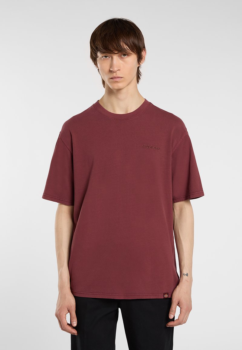 Mladý člověk s rovnými hnědými vlasy, oblečený v volném vínovém tričku a černých kalhotách na jednobarevném pozadí.