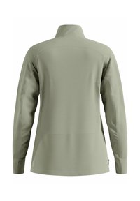 Lichtgrüne Jacke mit langen Ärmeln und hohem Kragen, von hinten gezeigt, mit einem sauberen, glatten Stoff und taillierter Passform.