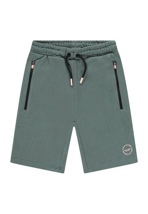Groene katoenen sweatshorts voor heren met een elastische tailleband, trekkoord, zijzakken en een ronde logo-accent op de onderkant van het linkerpijpje.