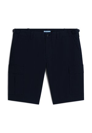 Tommy Hilfiger, HARLEM CORE ESSENTIALS - Short - desert sky