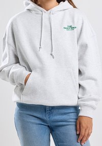 Grå hoodie i mjukt tyg med en framficka, justerbara dragsnören och grön broderad text som säger "THE DAILY DRIP NEW YORK."