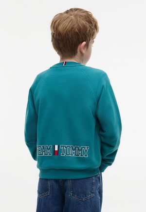 Barn med kort lyst brunt hår iført en teal sweatshirt med teksten "TEAM TOMMY" og logo på ryggen, kombineret med blå jeans, set bagfra.