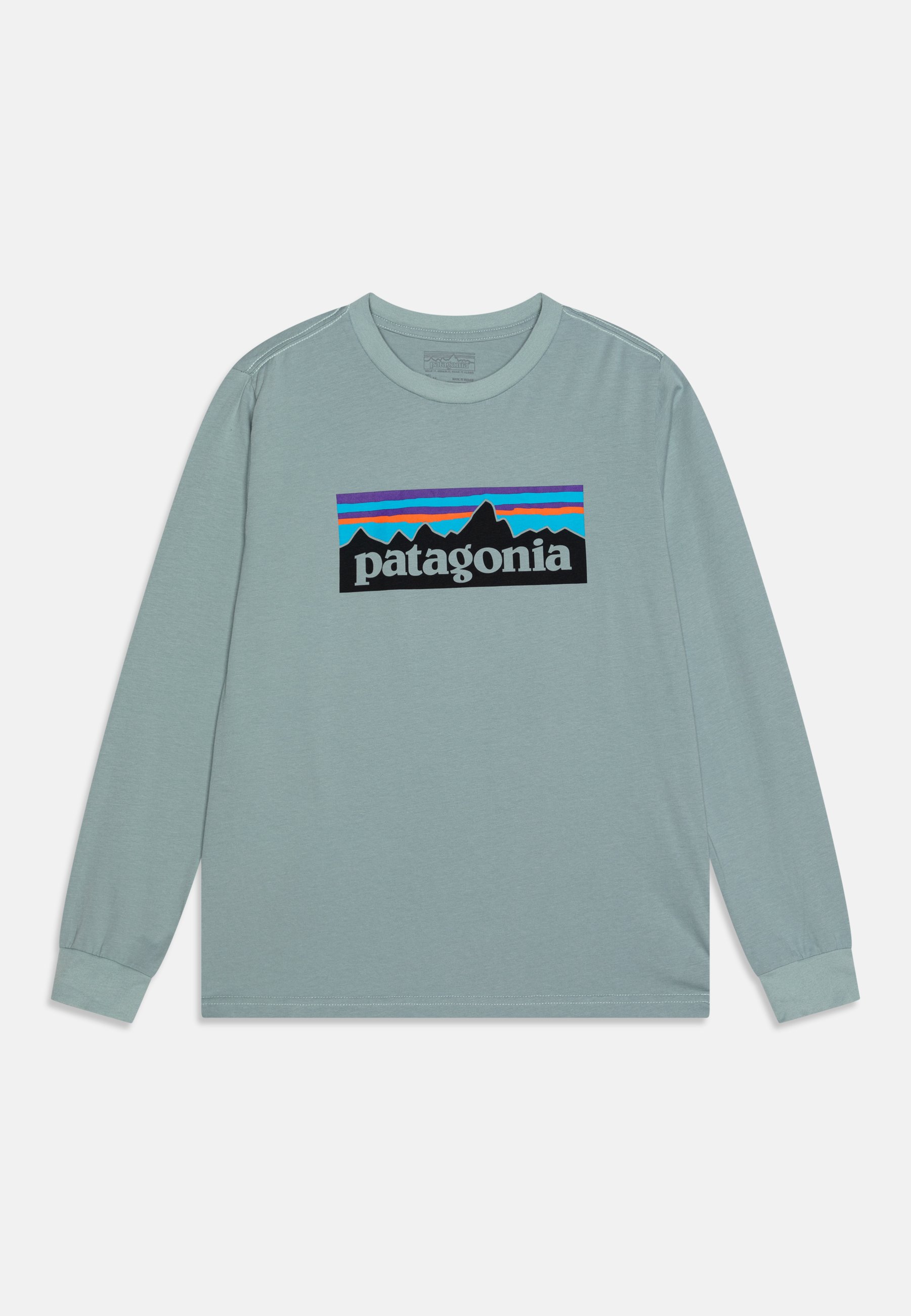 Patagonia LOGO UNISEX T-shirt à manches longues thermal blue