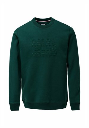 Sudadera verde con un logo texturizado "SALSA JEANS" en la parte frontal, cuello redondo y puños y dobladillo acanalados. Fabricada en una tela suave.