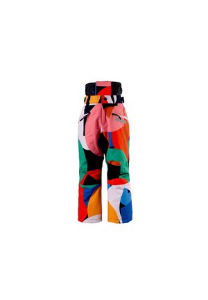 BIG BAD WOLF - Pantaloni da neve - multi print aop