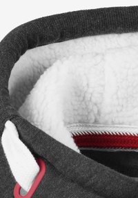 Solid SDBENJAMINHOOD - Hoodie - anthracite
