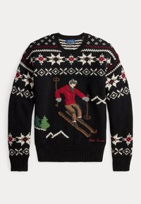 WOOL SKIER-GRAPHIC SWEATER - Stickad tröja - black