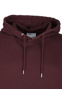 Bordeaux hoodie met een trekkoord, gemaakt van biologisch katoen. Heeft een zachte textuur en zilveren hardware aan de uiteinden van het trekkoord.