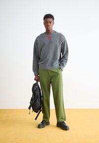 Carhartt WIP NELSON - Sweatshirt - charcoal garment dyed
