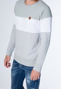 alife & kickin Felpa - grey