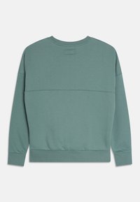 Miętowa bluza z okrągłym dekoltem, z ribbed rękawami i dołem. Gładka tekstura z poziomym przeszyciem na plecach.