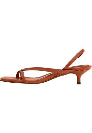 Brązowe skórzane sandały na obcasie typu kitten heel z paskiem na pięcie i kwadratowym noskiem na białym tle.