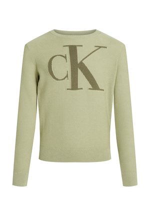MONOGRAM REG SWEATER - Maglione - misty vale