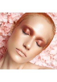 Danessa Myricks Beauty COLORFIX MATTES - Øyenskygge - coinz