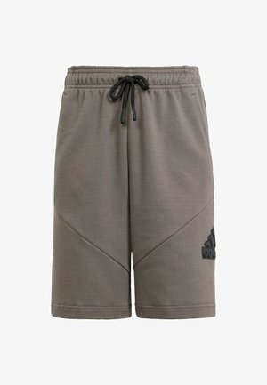 Sivé športové šortky z mäkkej látky s elastickým pásom na šnúrku, diagonálnymi švami a čiernym logom.