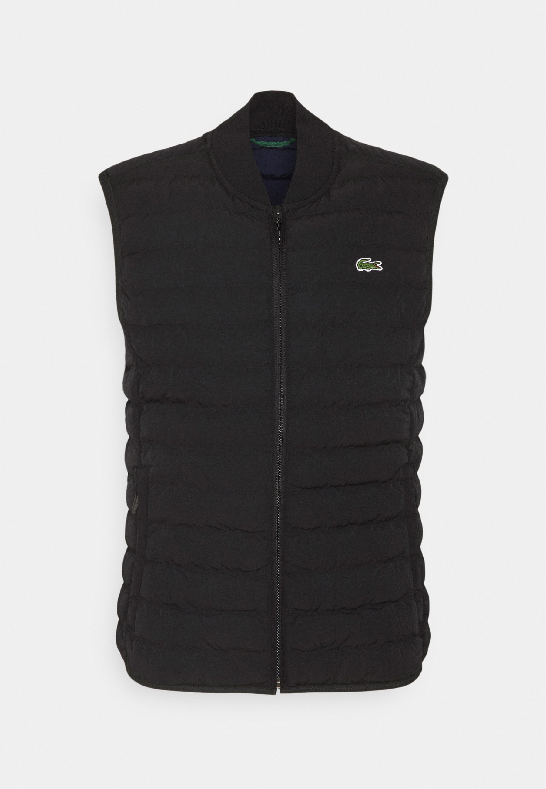 жилетка лакост мужская. жилетка лакосте чёрная. Lacoste bh 2317 безрукавка. жилетка-бомбер лакост. лакост безрукавка мужская жилетка.