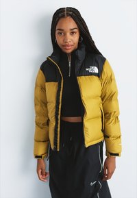 The North Face RETRO NUPTSE JACKET - Jakna ispunjena paperjem - amber green/black