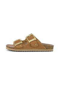 Mules - camel