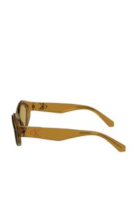 Óculos de sol amarelos transparentes com formato retangular, apresentando hastes finas e acentos em vermelho no suporte. Acabamento liso e brilhante.