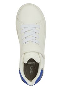Zapatilla blanca con parte superior de tejido y sintético, puntera redonda, cordones blancos, correa de velcro y acento azul en el talón. Suela texturizada.