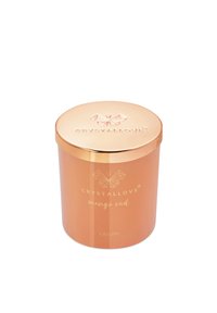 Immagine in miniatura 2