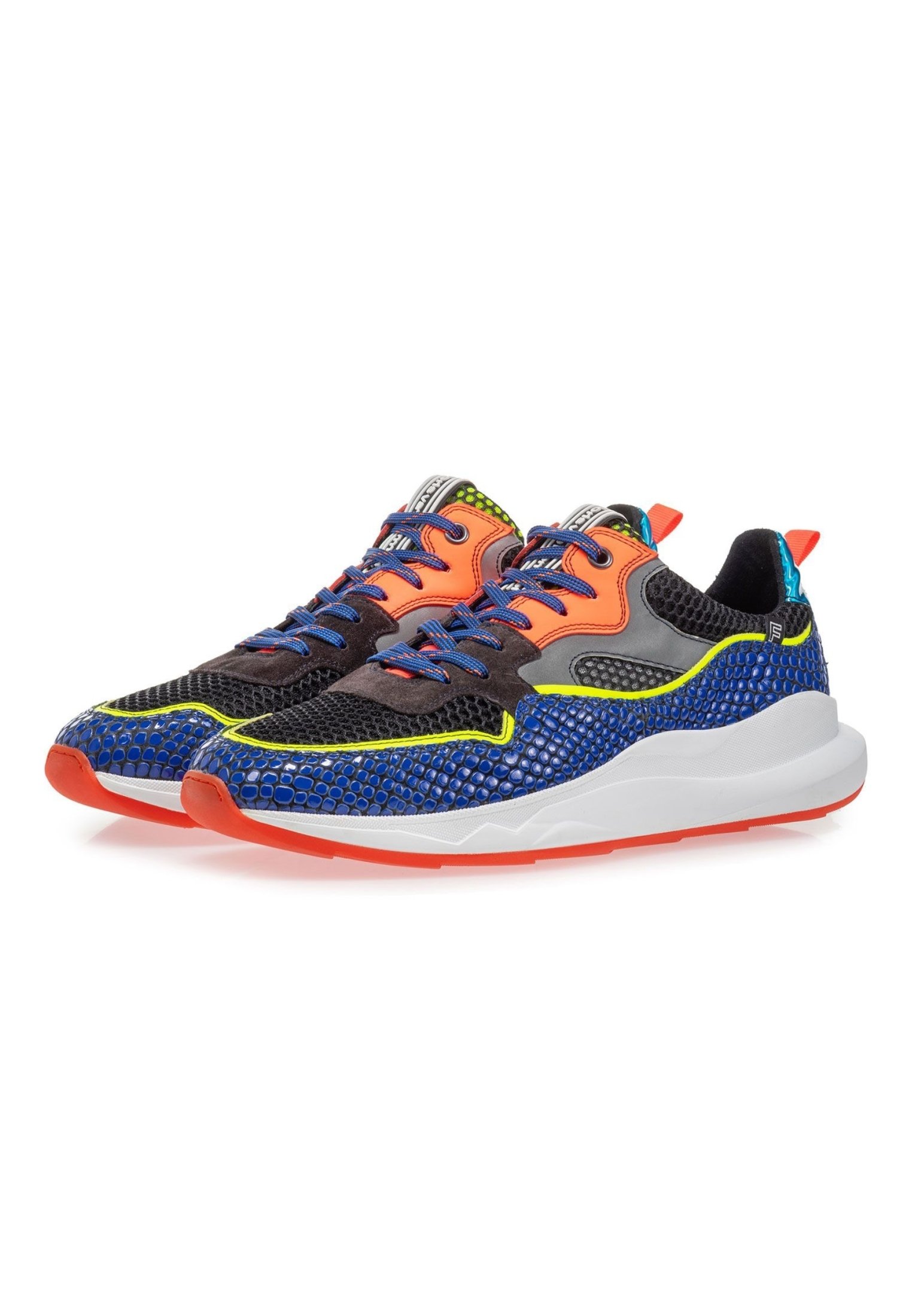 Floris van Bommel Trainers - brightblue/blue - Zalando.de